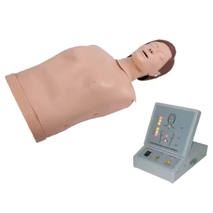 Educación médica para adultos Primeros auxilios Enfermería medio cuerpo CPR Manikin | Interno 1