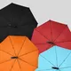 Umbrella Manufacturing Company Within 35 Workdays - - Blueprint Umbrella 2