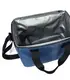 Lunch Cooler Bag LC Wholesale - HAPNT 5