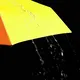 2 Fold Umbrella Price Available for Specifications and Quantities by Blueprint Umbrella 4