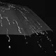 Lightweight Compact Umbrella Available for Specifications and Quantities by Blueprint Umbrella 7