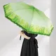 Umbrellas Manufacturer Available for Specifications and Quantities by Blueprint Umbrella 2