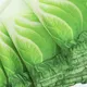 Umbrellas Manufacturer Available for Specifications and Quantities by Blueprint Umbrella 4