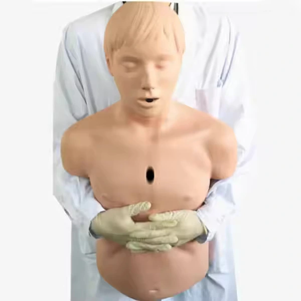 Half Half Body CPR CPR Model Training Manikin | Inverse 1