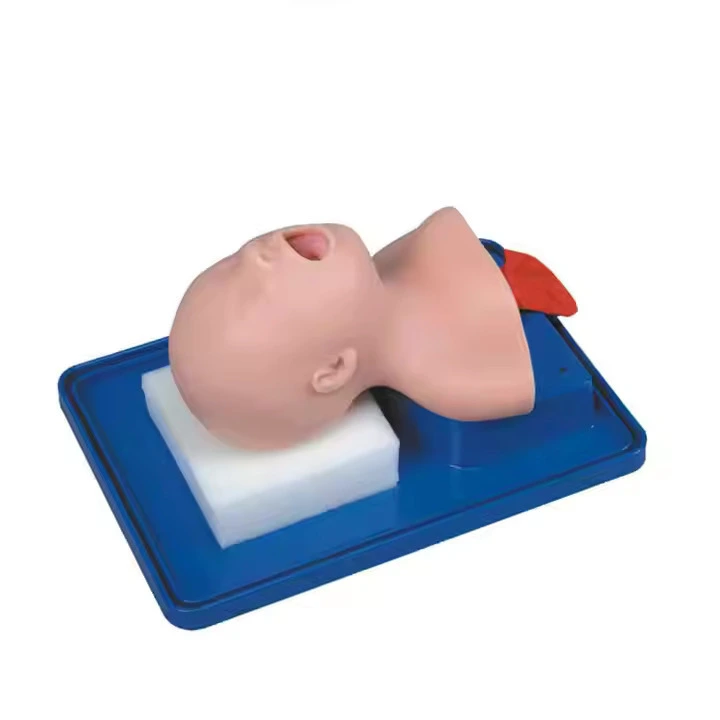 Newborn Baby Airway Management Model Neonatal Tracheal Intubation | INNORKOM 1