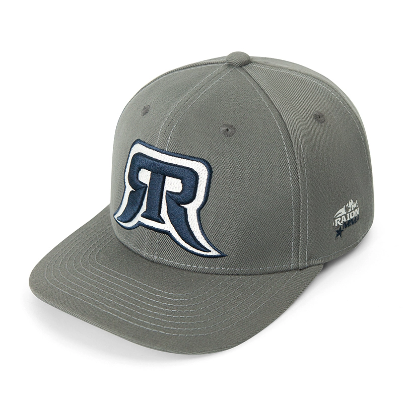 6 pannelli strutturati 3d ricamo 3d flat snapback tappo di baseball 1
