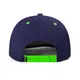Hip Hop Snapback Hats Wholesale - TANGREN 4