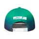 Flat Brim Snapback - - TANGREN-1 3