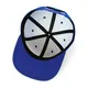 Flat Brim Snapback - - TANGREN-1 7