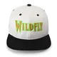 Hip Hop Snapback Cap - - TANGREN-2 2