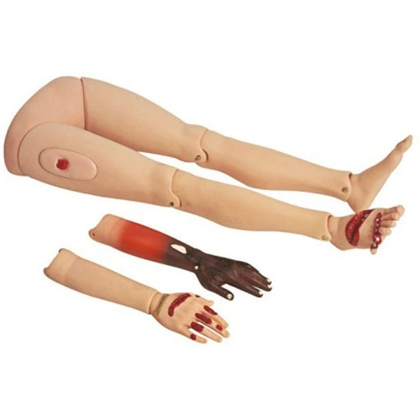 Modelo avançado do membro do membro de trauma superior e inferior Trauma manikin | Innkom 1