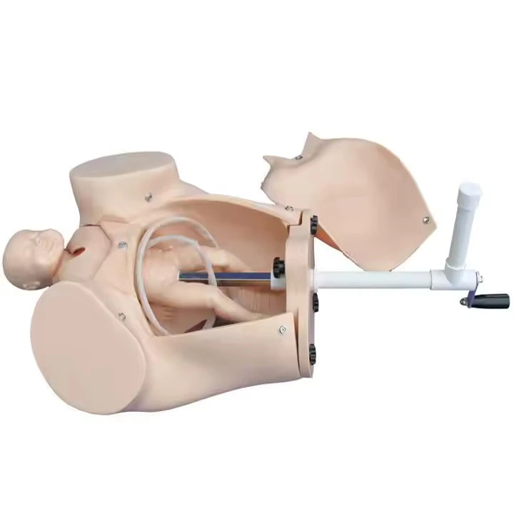 Modelo de capacitación de entrega de parto médico | Interno 1