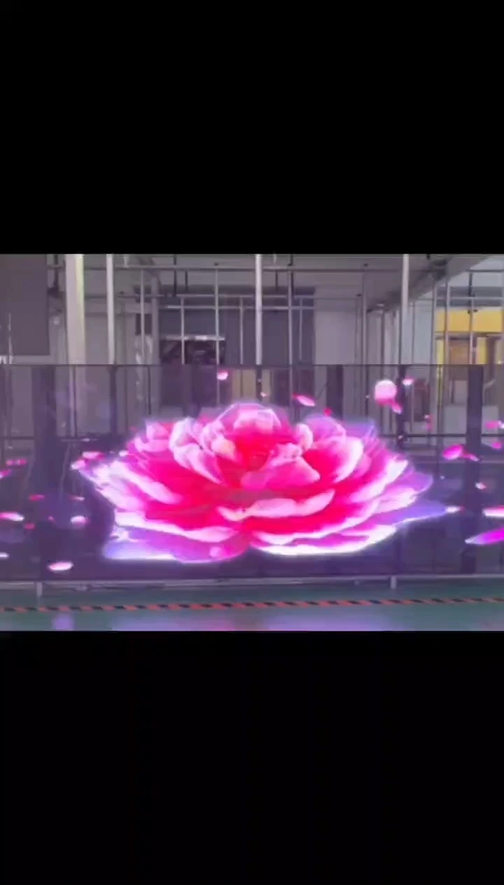 LIONLED Indoor Transparent LED Display P2.6-6.25 New Technology for Shops/Cinemas 1