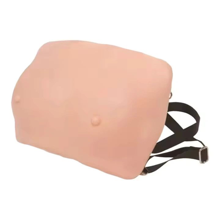 Anatomical Model Vivid Training Model Breast Examination Model |INNORKOM 1