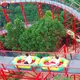 Best Price Carnival Equipment for Sale for Aquariums 3