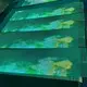 Led Transparent Film Screen - - Lionled 5