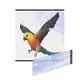 Lionled Outdoor Led Screen Upplier 4