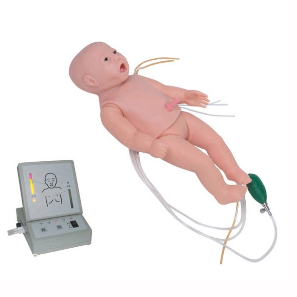 NEONATAL FUNTAL FUNTAL FUNTAL NEONATAL NUMBRA Y CPR MANIKIN | Interno 1