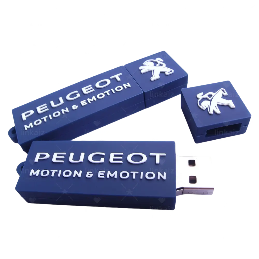 LINKAIZ Custom Printed Usb Flash Drives Upplier 6