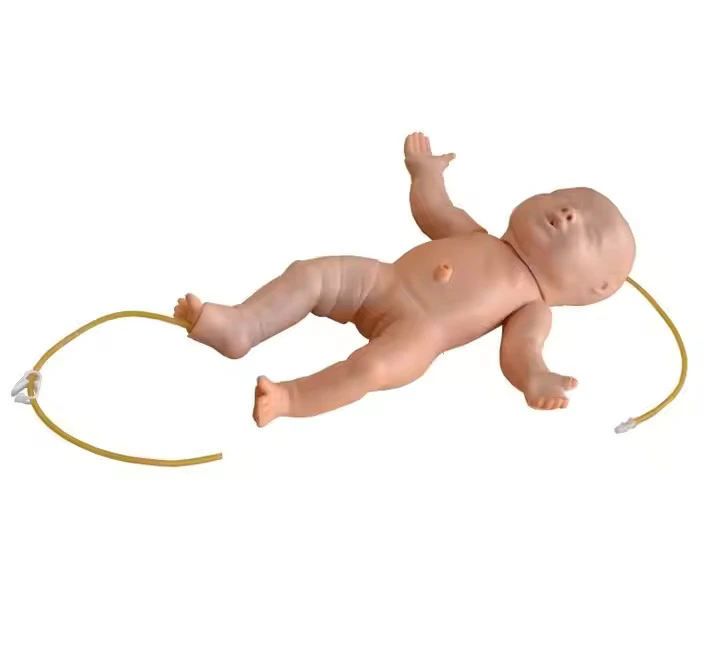 Simulador avançado de punção venosa de corpo inteiro de corpo inteiro | Innkom 1