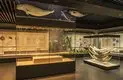 Museum Display Company Professional Custom Museum Displays 2