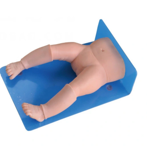 Simulador de entrenamiento de aspiración de médula ósea infantil | Interno 1