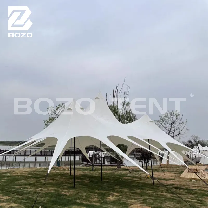 Reliable Temporary Canopy Structure Price List 6