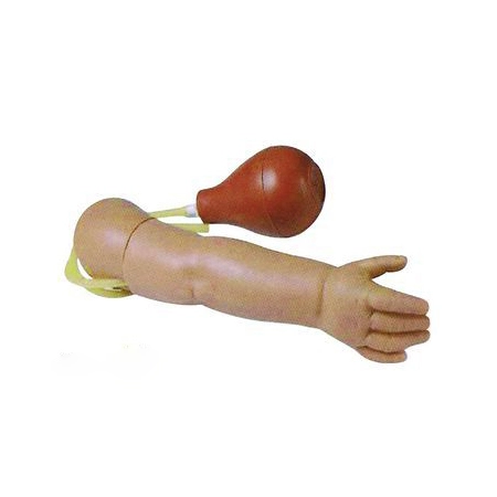 Braço de treinamento avançado da arteriopuntura infantil | Innkom 1