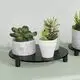 Wall Mounted Acrylic Display Case HQ by HQ ACRYLIC 2
