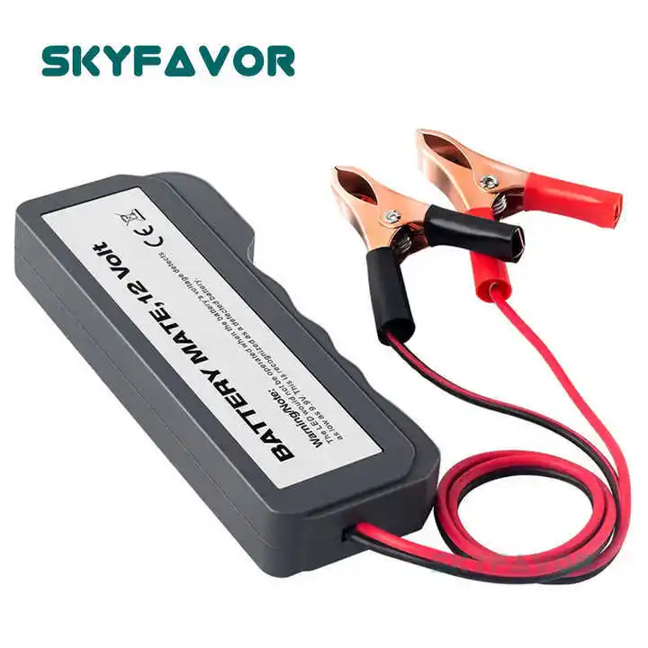 Custom Battery Chargers by SKYFAVOR 2