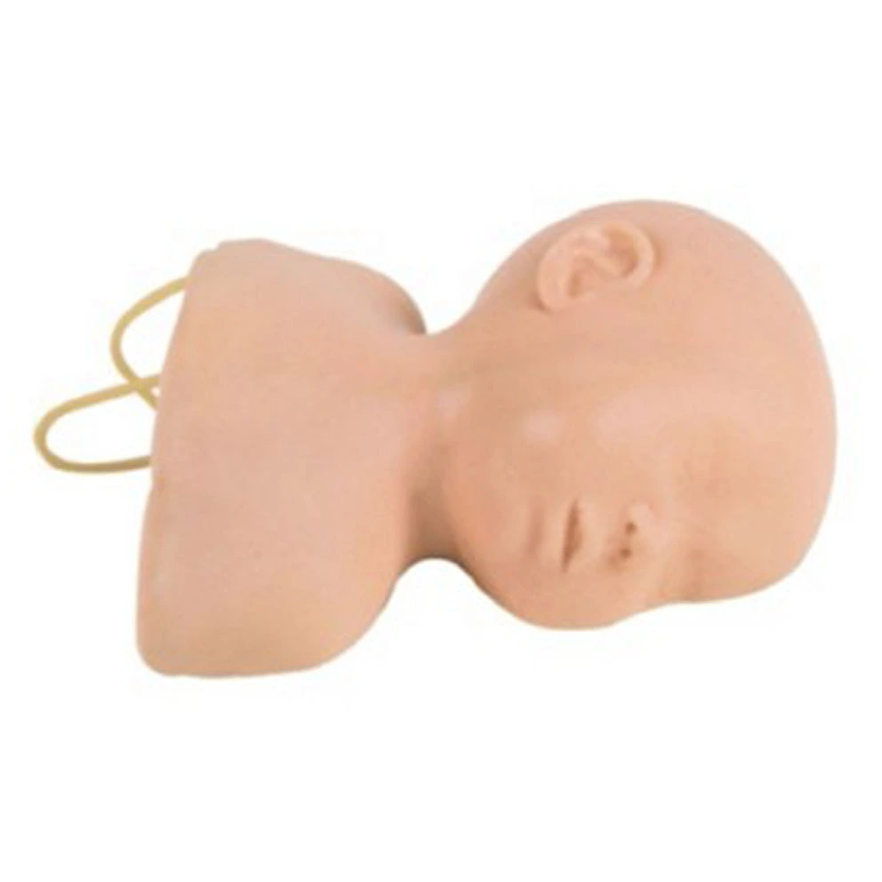 Infant Scalp Intravenous Injection Training Model | INNORKOM 1