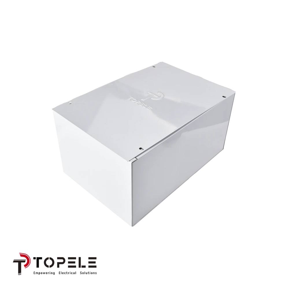 Electric Meter Box 1
