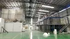 Eps Melting Machine Eries 5