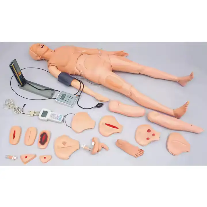 High Efficient Medical Mannequin for Sale Factory 3