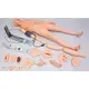 High Efficient Medical Mannequin for Sale Factory 3