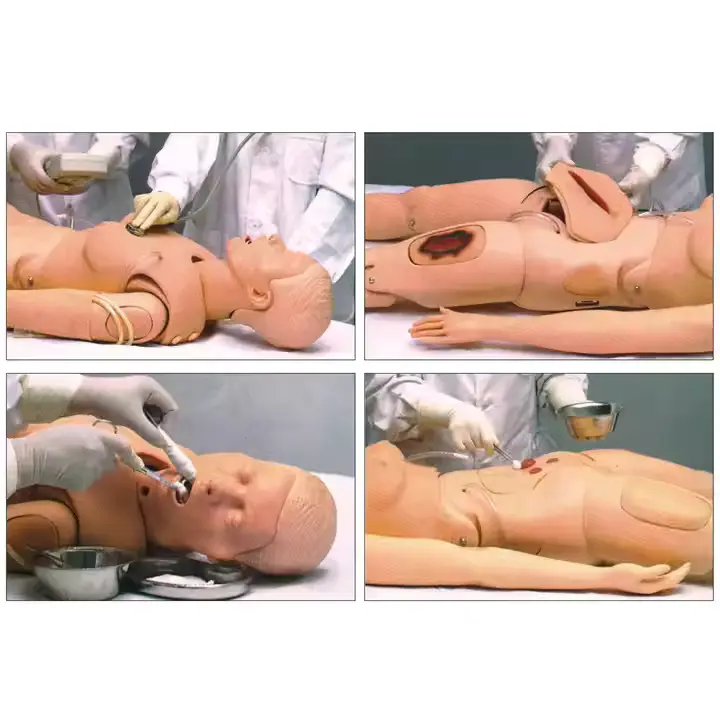 High Efficient Medical Mannequin for Sale Factory 6