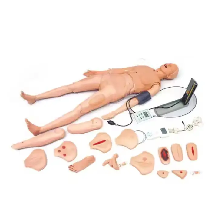 High Efficient Medical Mannequin for Sale Factory 2