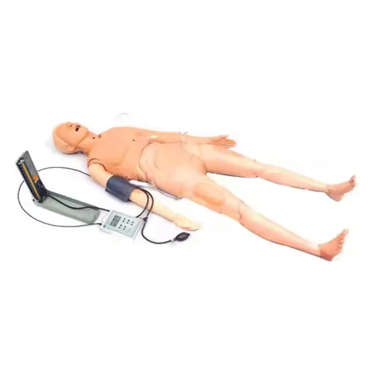 High Efficient Medical Mannequin for Sale Factory 4