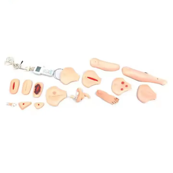 High Efficient Medical Mannequin for Sale Factory 5