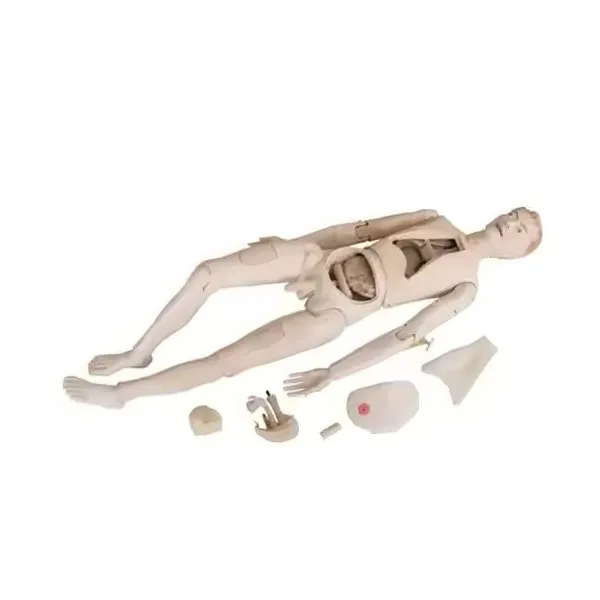 INNORKOM Child Manikin INC-MA104supplier 3