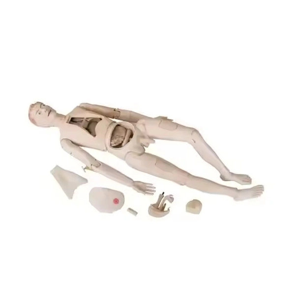 Modelo de muñeca de entrenamiento de enfermería masculina de alta calidad | Interno 1