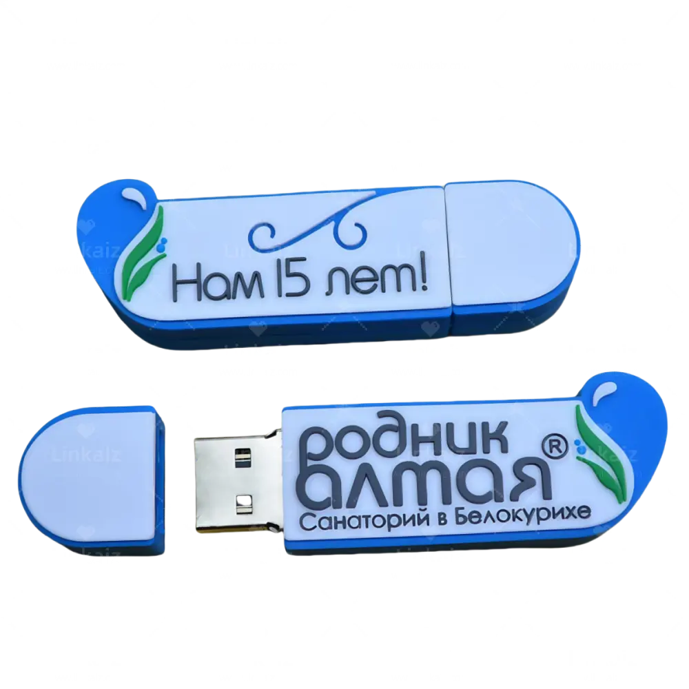 High End Custom Usb Flash Company for Different Industries 2
