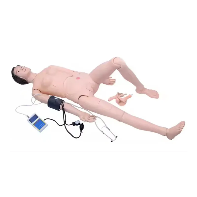 Wholesale Medical Teaching Mannequins Wholesaler 5