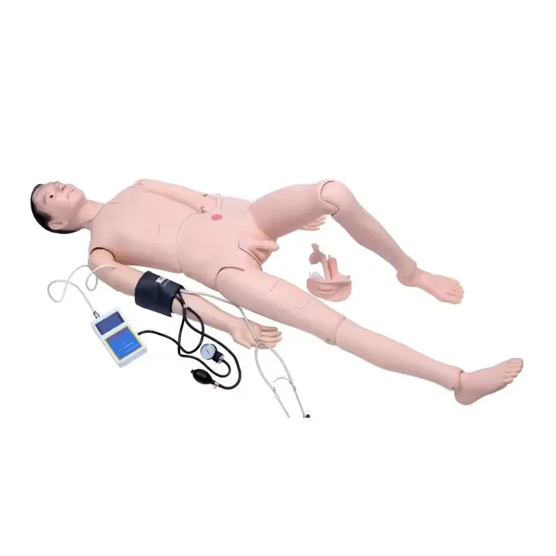 Wholesale Medical Teaching Mannequins Wholesaler 4