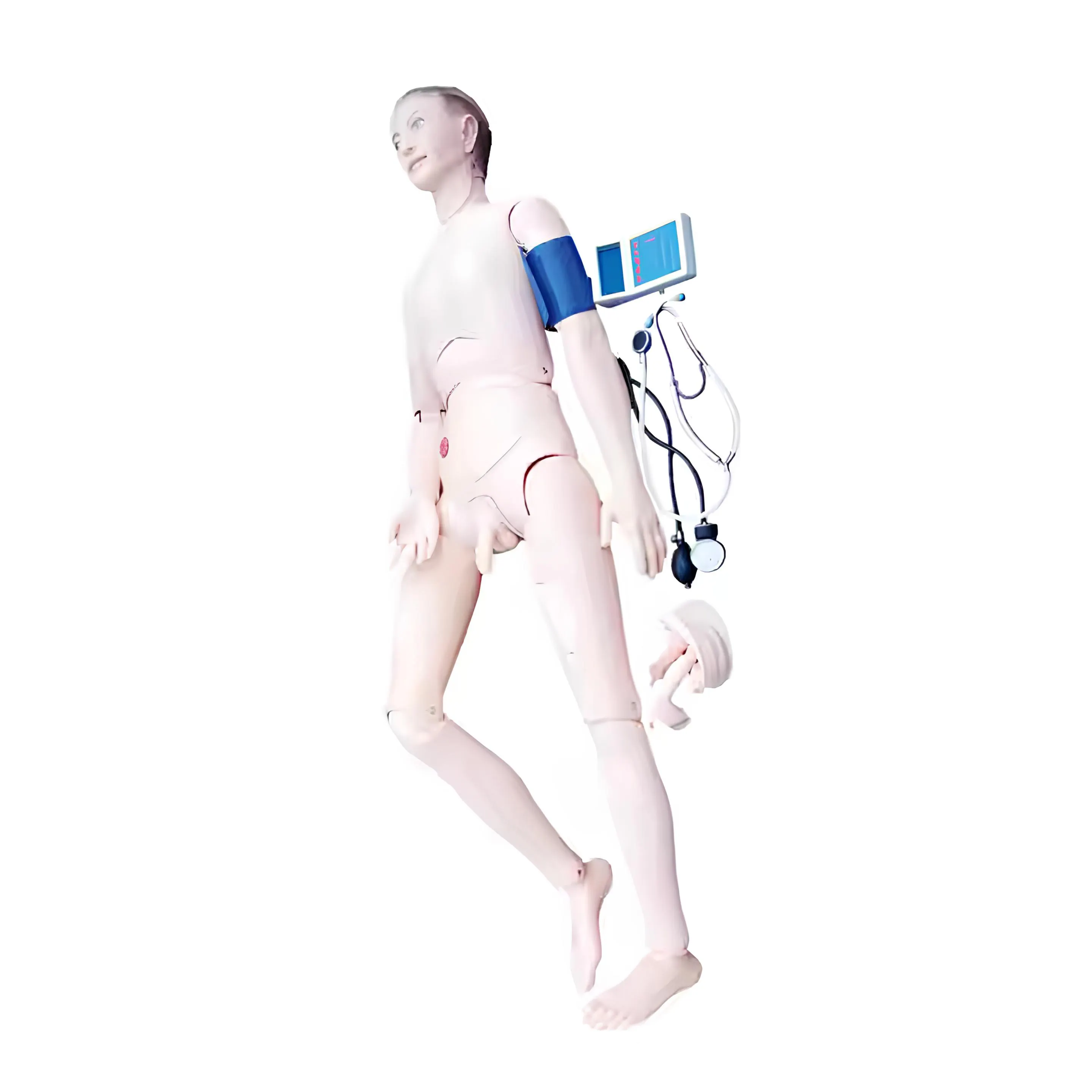 Wholesale Medical Teaching Mannequins Wholesaler 3