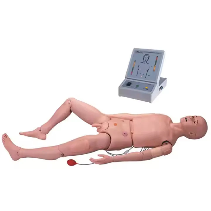 Modelo avanzado de capacitación de Manikin Medical Manikin Manikin Medical Masculino | Interno 1