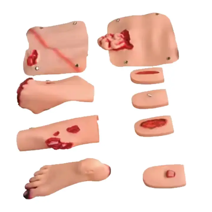 High Quality Medical Training Mannequin Medical Training Mannequin Company 3