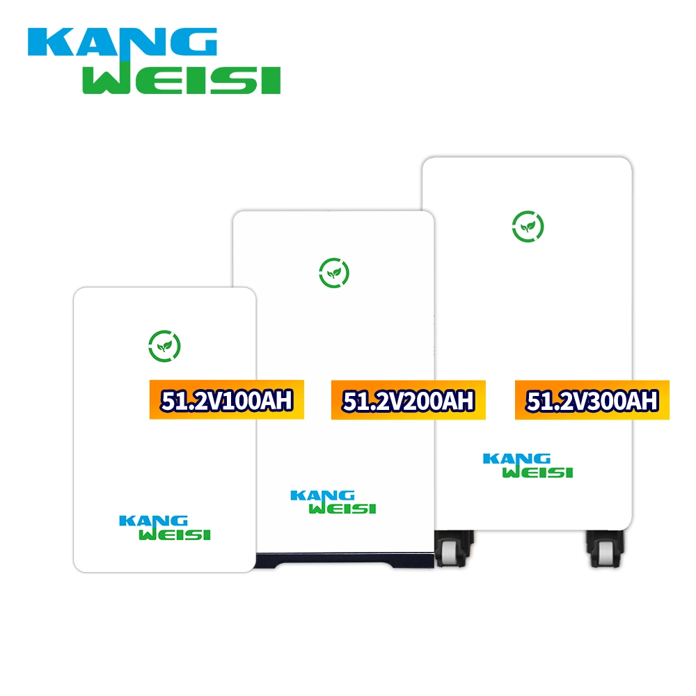 Batería de litio montada en la pared 51.2V100AH200AH Batería de almacenamiento de energía fotovoltaica para el hogar 300AH Estándar American Standard 5kWh 10kWh 15kWh 1