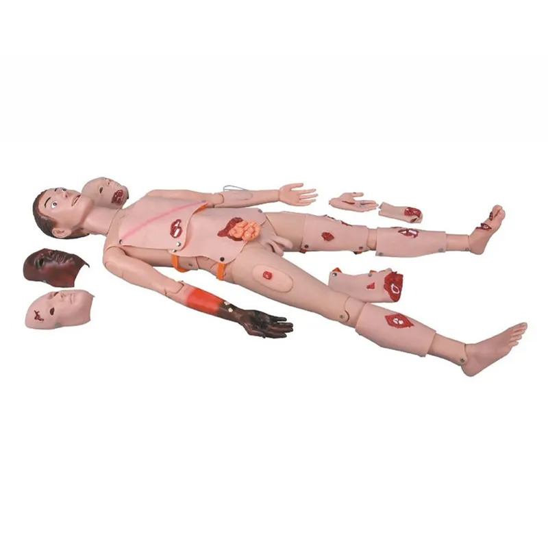 High Efficient Nursing Simulation Manikins Wholesaler 3