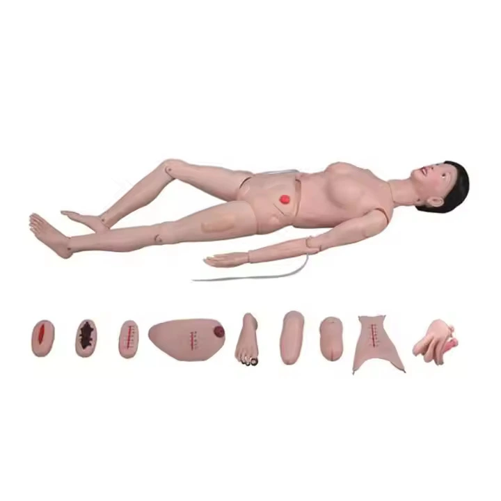 PVC Female Nursing Manikin for Medical Science Training Models | INNORKOM 1